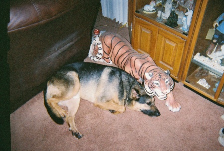 Joey and tiger statue