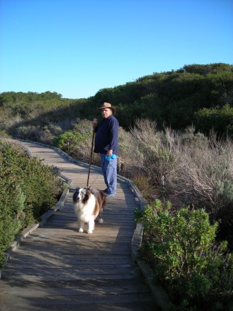 Elfin forrest Morro Bay estuary