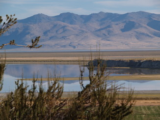 HONEY LAKE