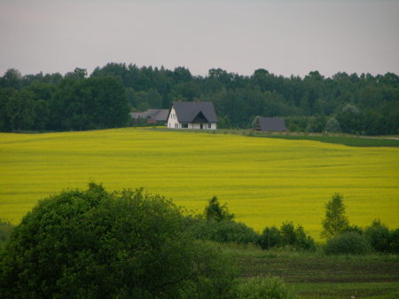 Typical Latvian Farm field