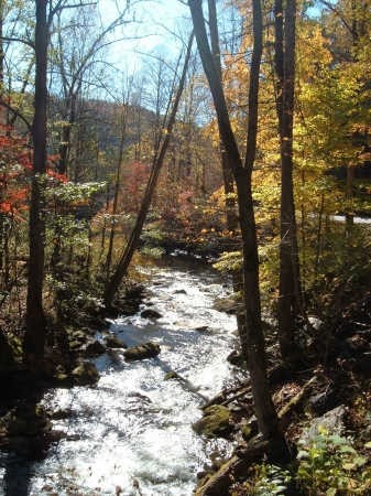 Mountain Streams