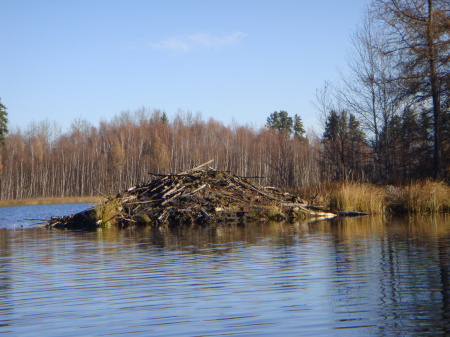 At Kimball Lake, SK.