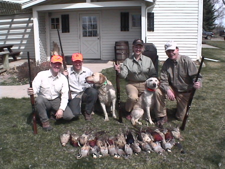 Pheasant hunting w/friends