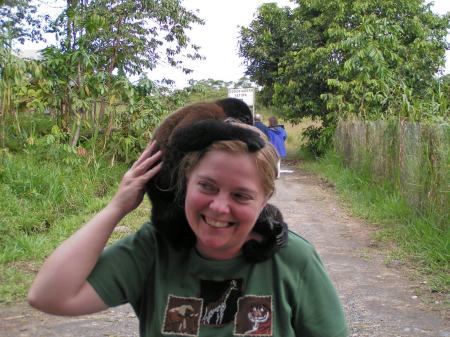 Friendly monkey in Ecuador