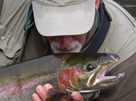 Trinity River Steelhead 2006-Love'm & Leave'm