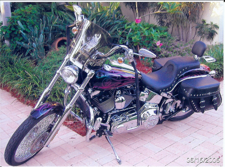My Harley 2000 Custom Softail Deuce