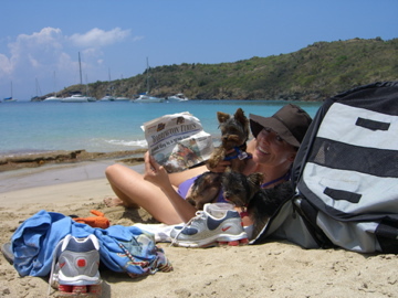 Kathryn Pink & Blue reading the times in St. Barths