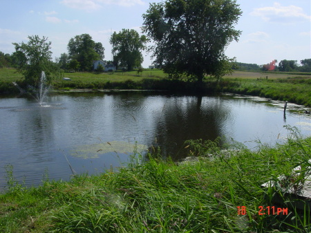 The Fishin Pond
