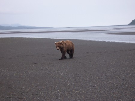 Katmai 2005