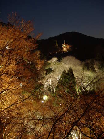 Kiyomizu Enchanted Forest