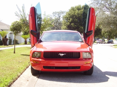 '05 Mustang