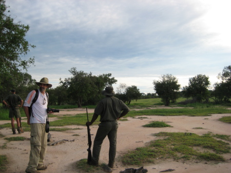 on safari