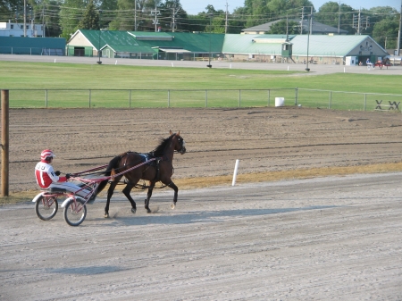 horse racing