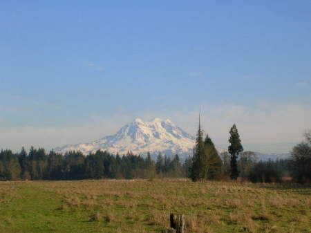 Our View of Rainier