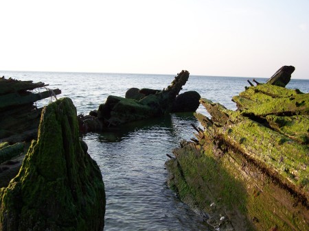 wrecked boat with algae