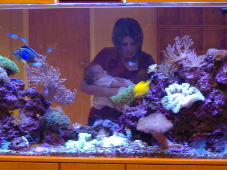 Isaac, Mommy, and all the pretty fishes