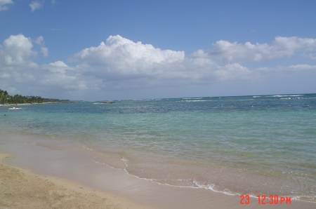 MY PARADISE - DOMINICAN REPUBLIC