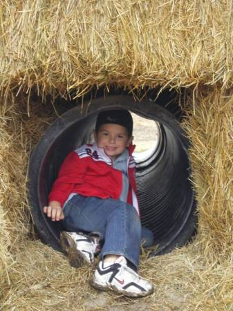 Hunter in the Hay Maze 2006