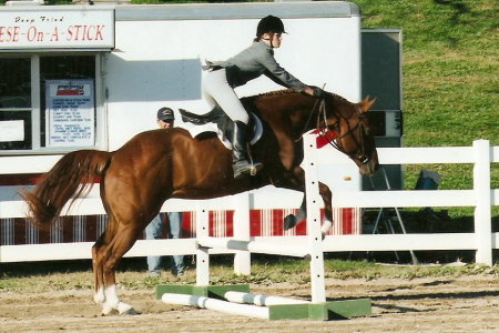 Briit horse show