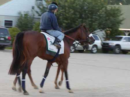 Rest in Peace, Barbaro!