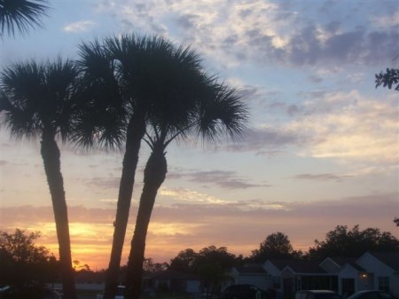 Sunrise - Port Charlotte, FL  4.2008