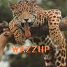 wazz up leopard