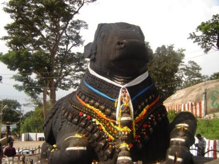 Mysore 2009