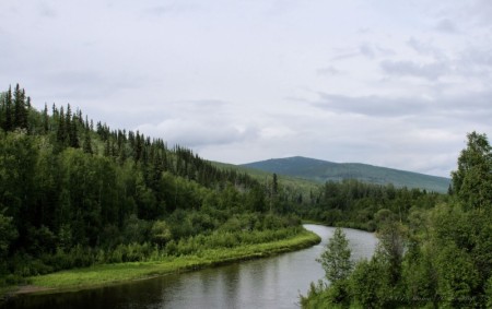 Fairbanks, Alaska:  my birthplace