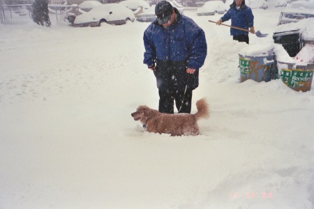 Wilbur's First White Christmas