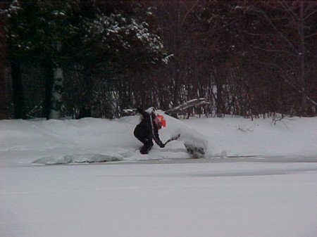 Dave Klemish hunts baby seals