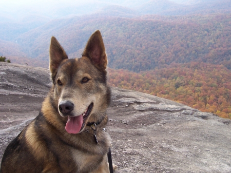 Lucy at Pisgah at the top of Looking Glass Mountain