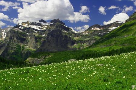 Brown Pass