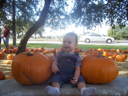 Pumpkin Patch