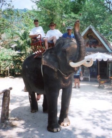 Thai Elephant Ride
