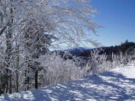 snow smokies