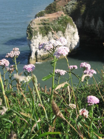 Bridlington, Yorkishire - UK