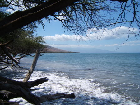 The beach at Maui.
