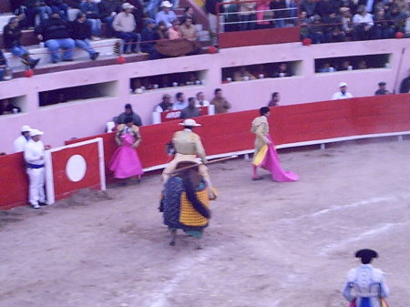 bullfight 3/08