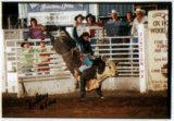 prca rodeo