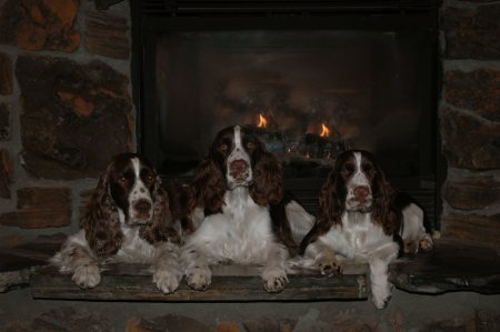 Relaxing by the fire