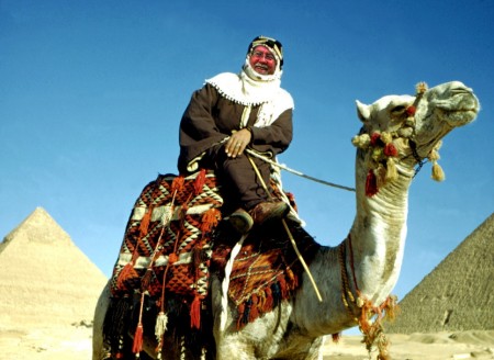 sh camel