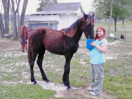Spunky TWH and Mikayla