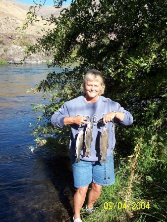 Great Trout Fishing - Deschutes River, Oregon
