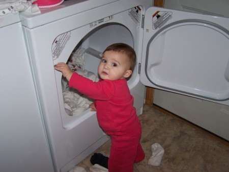 presley in the dryer 001