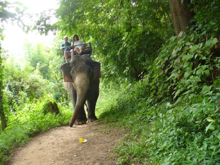 The 3-meter elephant