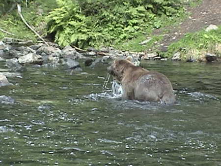 River trip Kenia Alaska 8-18-2008