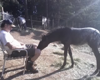 Bret with Oreo, 2008 filly