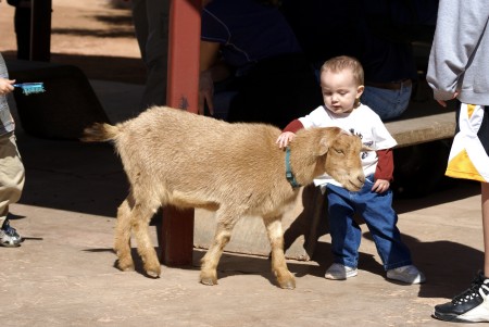 Jordan at the zoo