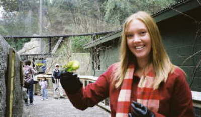holding bird at zoo