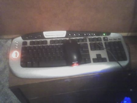 MS-keyboard with Thumb-print Reader